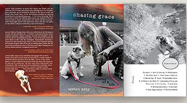 Chasing Grace book cover