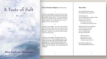 A Taste of Salt book cover